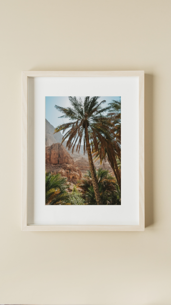 interior print fine art print palm tree oman nature
