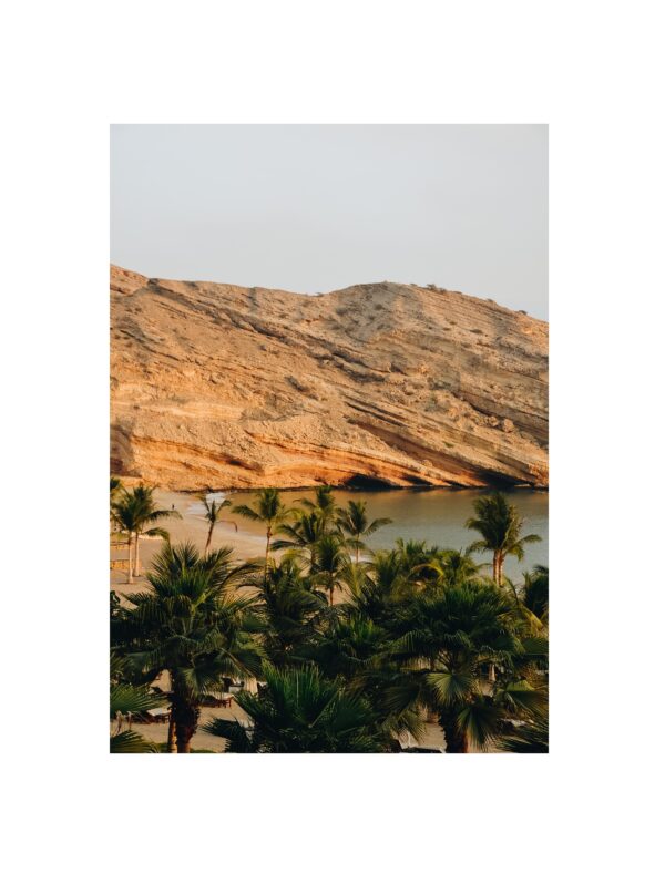 rock beach oman nature beach rocks palm trees print poster