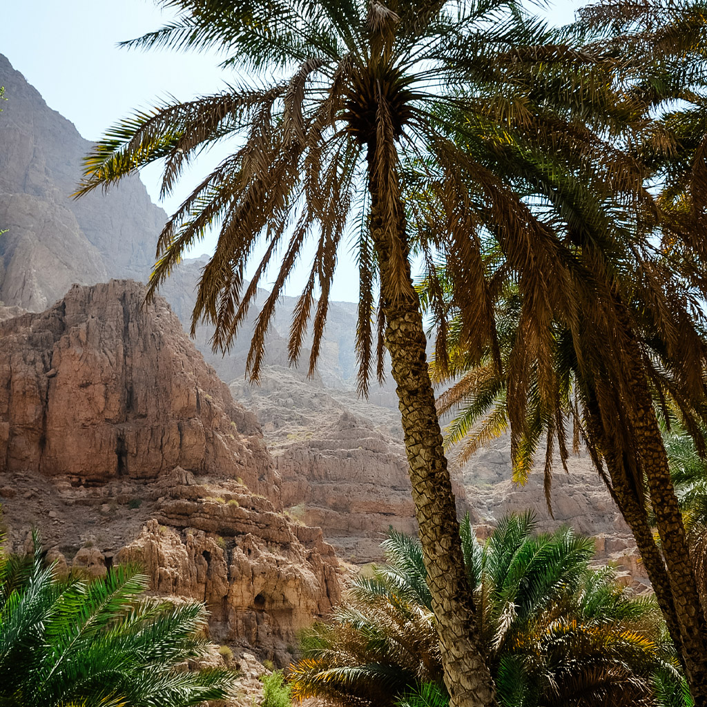 OMAN CANYON PRINT