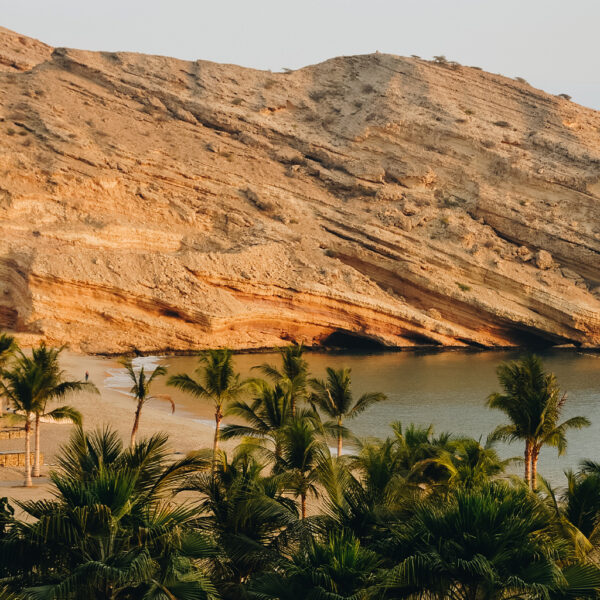 rock beach oman nature beach rocks palm trees print poster